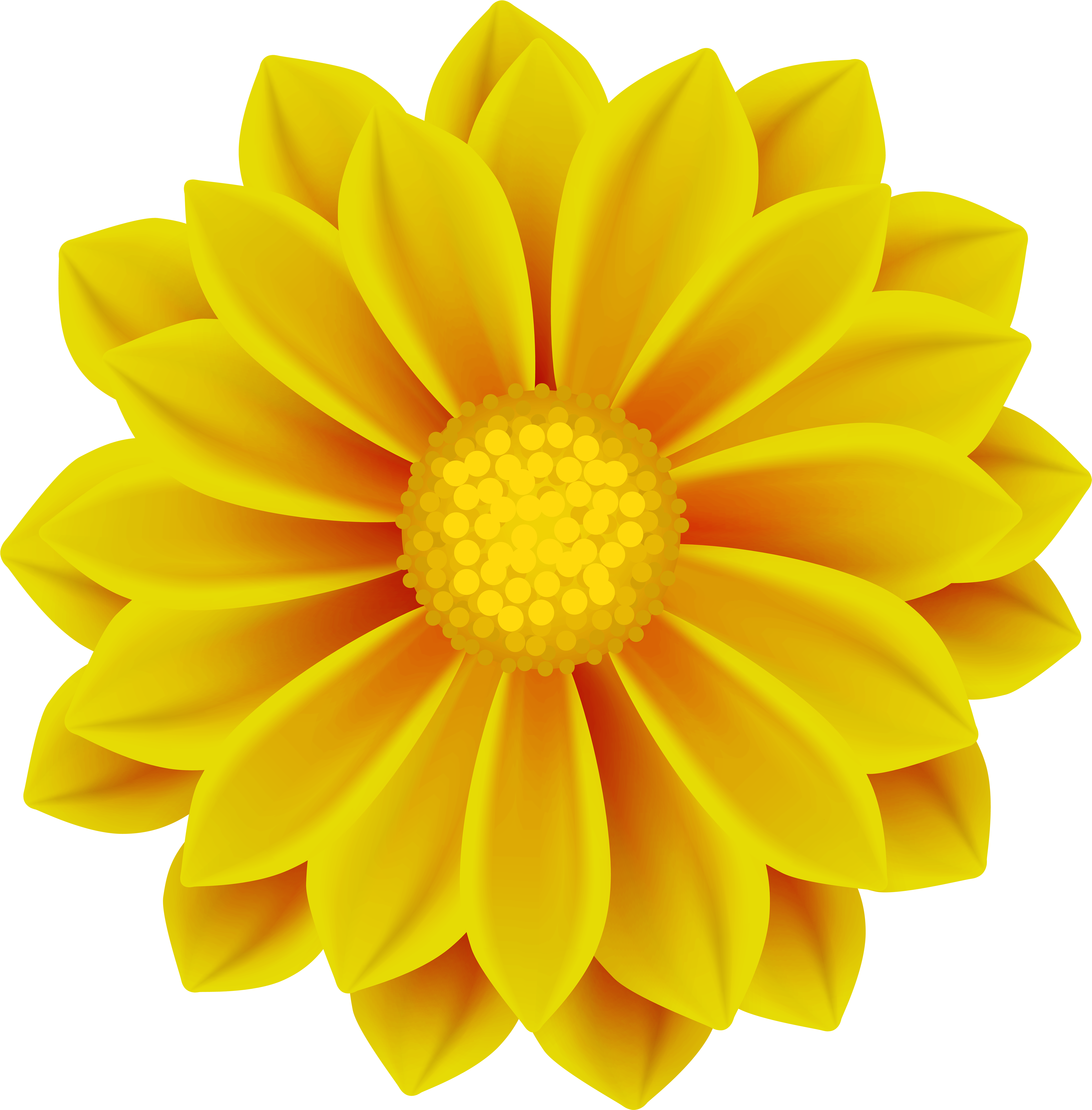 Clip Art Gallery Yopriceville High Quality View - Chrysanthemum X Morifolium Cv Florist's Chrysanthemum (4936x5000), Png Download