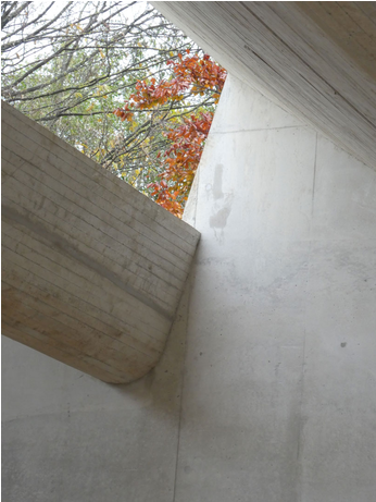 Texture And Context - Plywood (809x460), Png Download