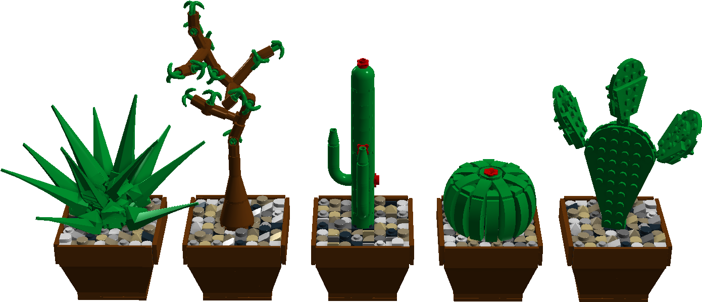 Cute Cactae - Houseplant (1441x772), Png Download