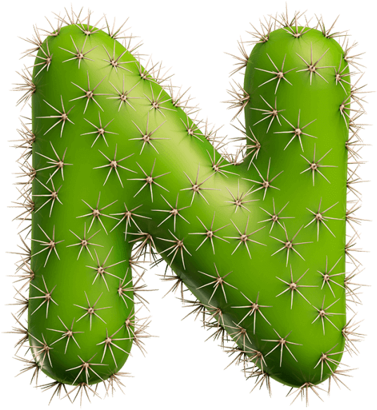 Green Cactus Font - San Pedro Cactus (595x595), Png Download