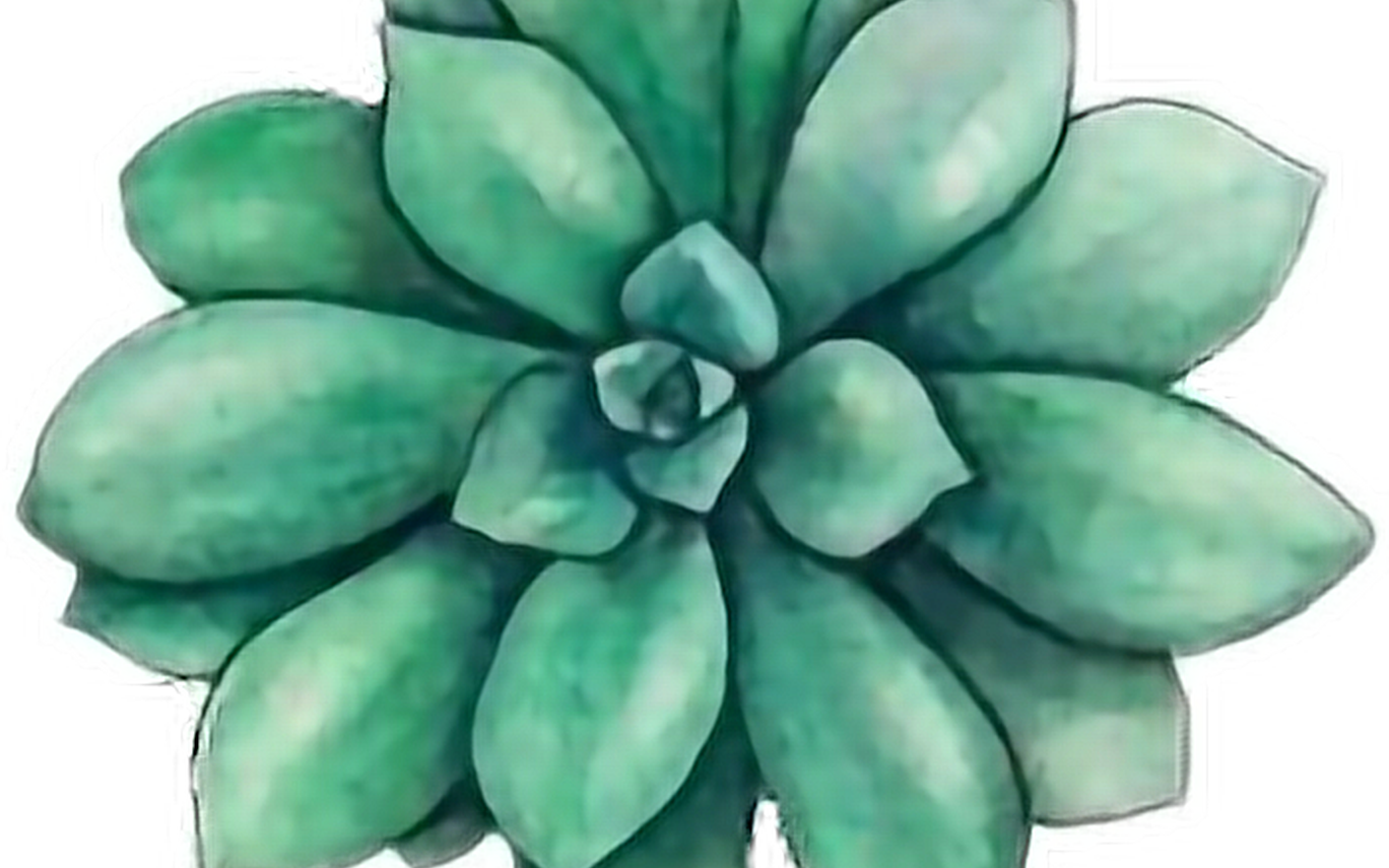 Tumblr Flower Garden Girly Cute Green Flowers Cactus - Succulent Stickers (1368x855), Png Download