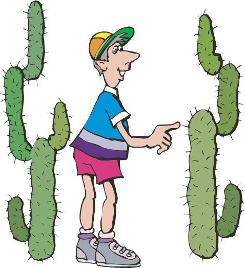 Cactus Clipart Touch - Example Of Sense Of Touch (478x521), Png Download