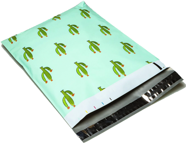 Cactus - Envelope (650x500), Png Download