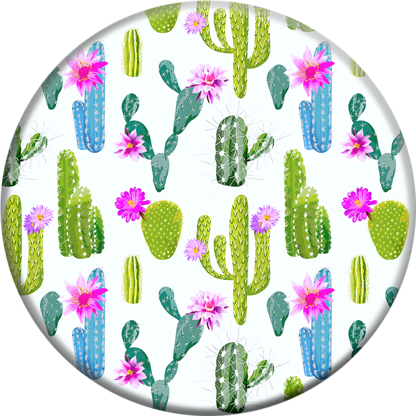 Cacti Popsocket - Cactus Popsocket (480x480), Png Download