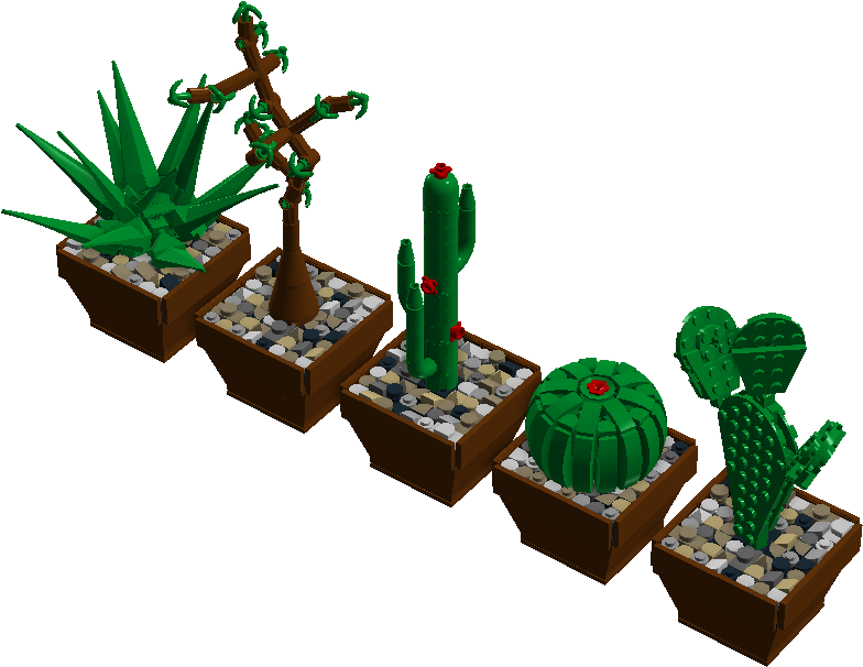 Cute Cactae - Cactus (1441x772), Png Download