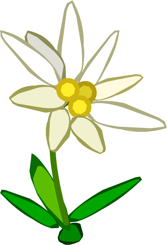 Everlasting Flower - Edelweiss Clipart (500x500), Png Download