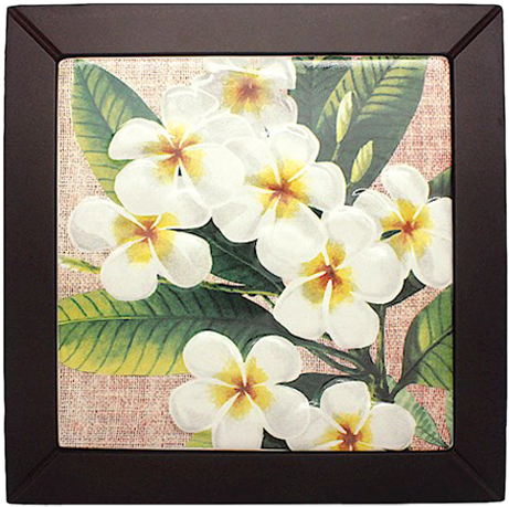 Framed - Hawaiian Gift Bag Medium Plumeria Notes (600x600), Png Download