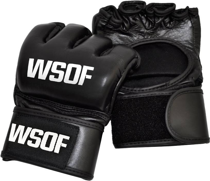 Wsof Mma Gloves - Mma Gloves (938x753), Png Download