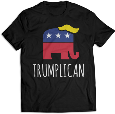 Kid Rock Shirt (397x480), Png Download