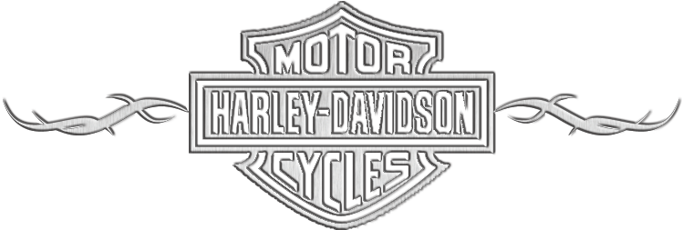 Background Transparent Harley Davidson Logo Png - Transparent Harley Davidson Logo (772x252), Png Download