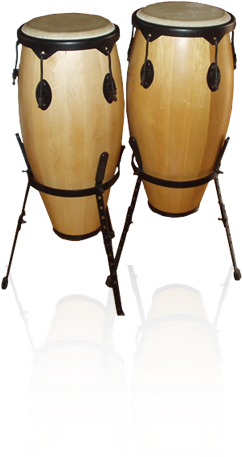 The Origin Of The Congas Can Be Found In The Congolese - Conga (257x566), Png Download