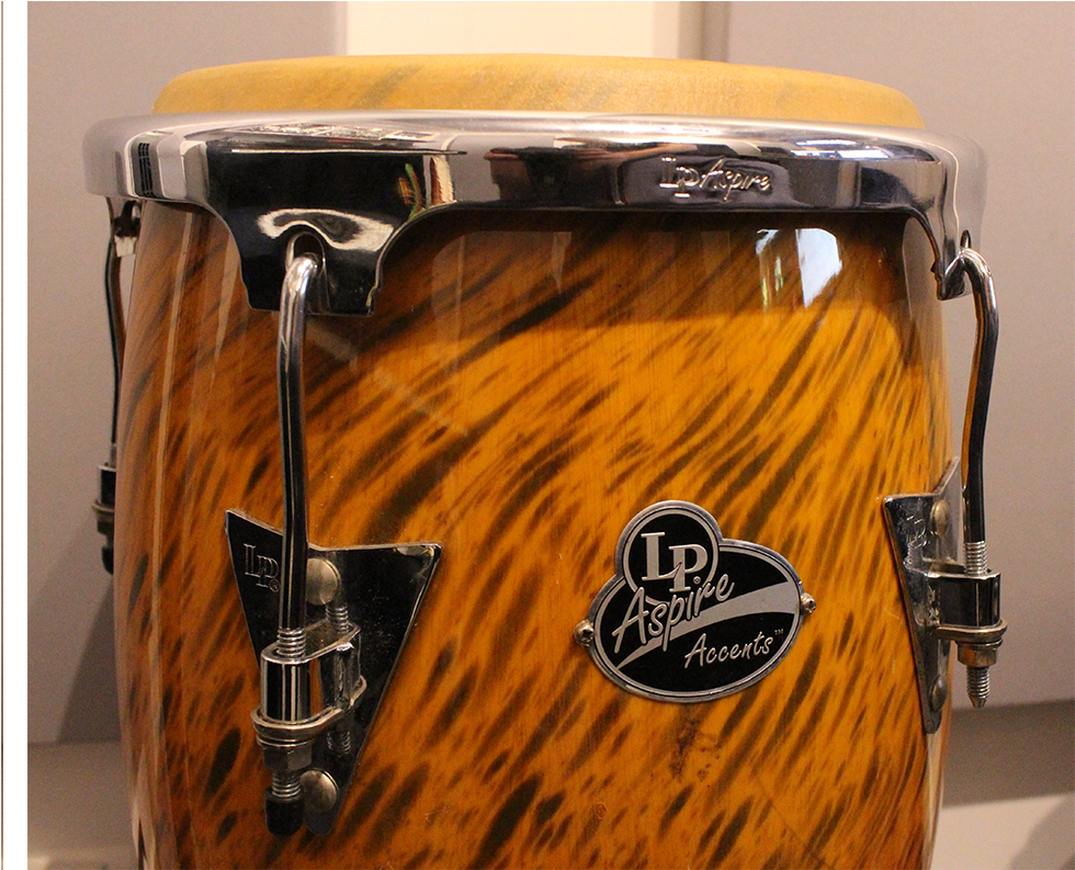 Aspire Conga Audio Animals Ltd Png Aspire Conga Drums - Conga (1000x1000), Png Download