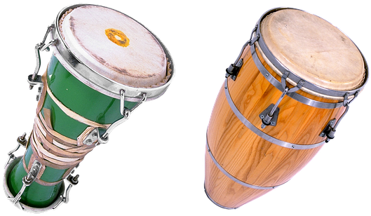 Bongo Drums Music Concert Percussion Instr - Bongo Music (549x340), Png Download