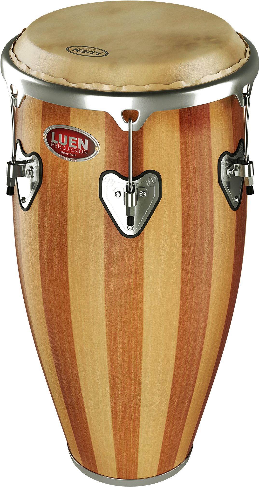 Renders - Conga (1400x2567), Png Download