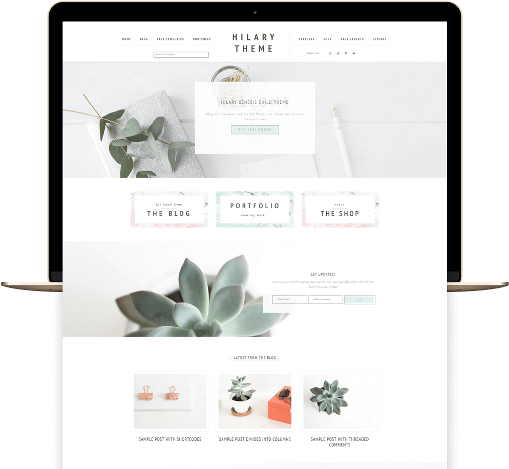 Hilary Portfolio And Ecommerce Genesis Child Theme - E-commerce (1024x916), Png Download