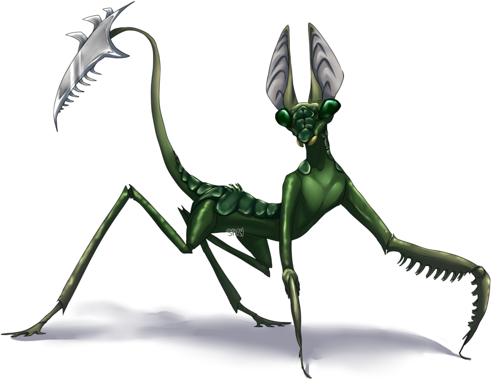 Mantis Png Clipart - Mantis Creature (1021x783), Png Download