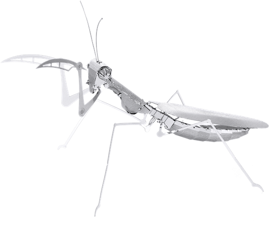 Metal Erath Bugs - Metal Earth Insects (600x477), Png Download