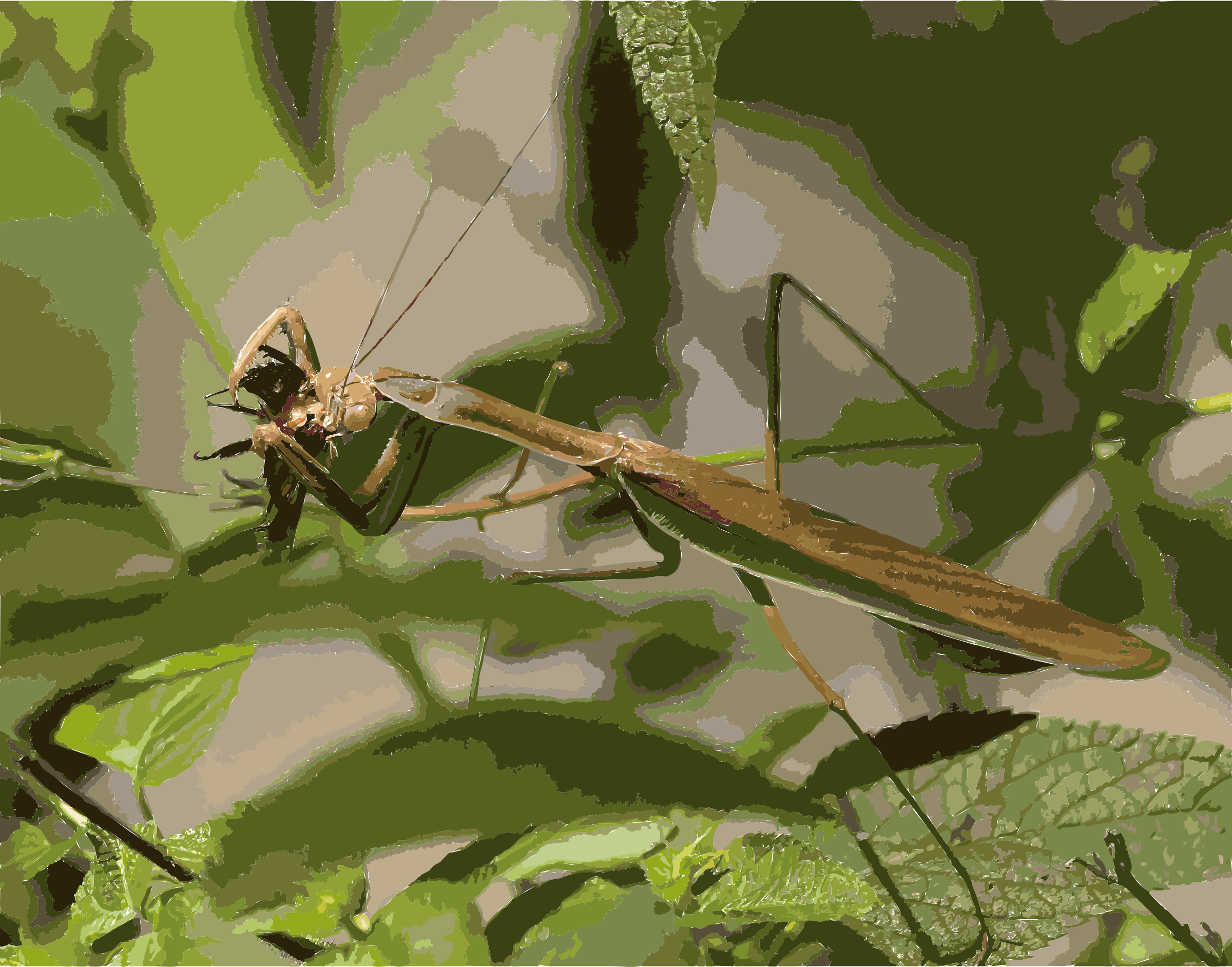 This Free Icons Png Design Of The Mantis Which Eats (2400x1884), Png Download