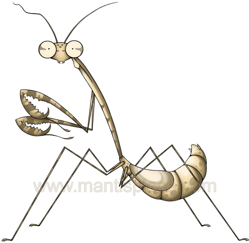 Grasshopper Art Free Library Huge Freebie - Clip Art (500x500), Png Download