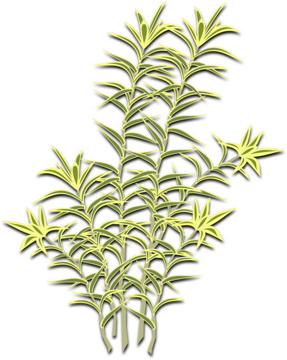 Computer Icons Symbol Cartoon Line Art - Dracaena (750x750), Png Download