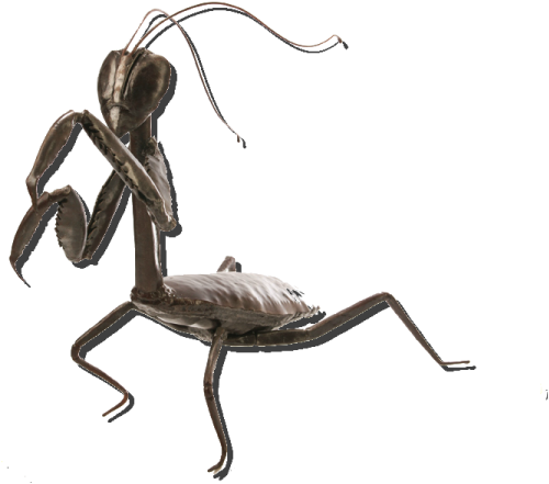 Metal Mantis - Colby Brinkman - Facebook (600x600), Png Download