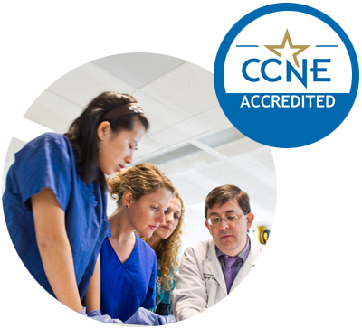 The Bsn, Msn, Dnp And Post-graduate Aprn Certificate - Commission On Collegiate Nursing Education (400x363), Png Download