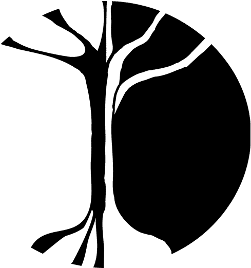 Chinese 5 Element System - Chemical Element (621x623), Png Download