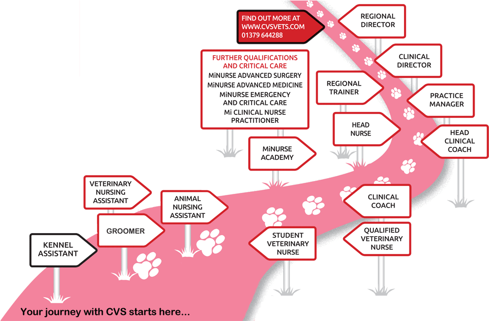 Cvs Micareers Nursing - Nursing Career Uk (1000x650), Png Download