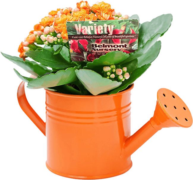 Contact - Decoração Banheiro Feng Shui (659x611), Png Download