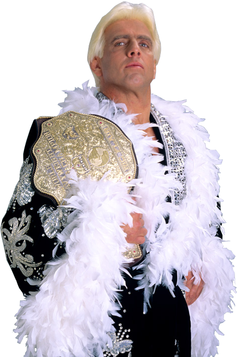 Ric Flair World Heavyweight Champion - Ultimate Ric Flair Collection (2003) (473x713), Png Download