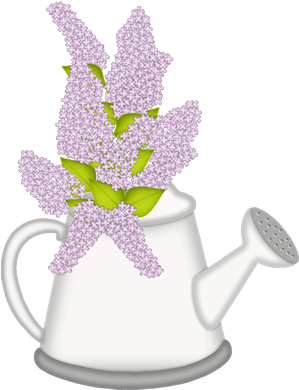 Gd Ss Watering Can - Flower (314x400), Png Download