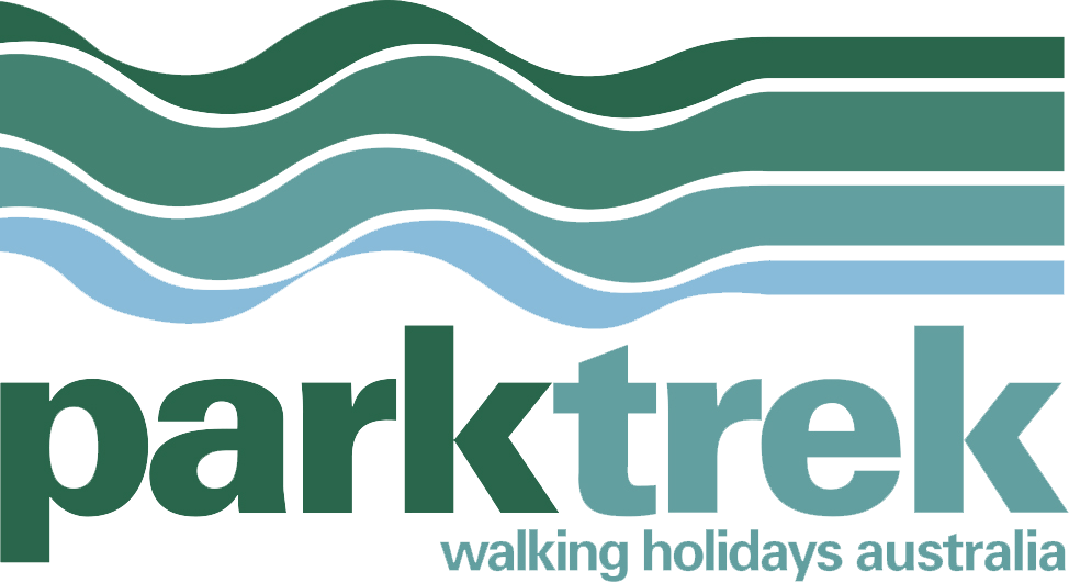 Graphic Design (974x531), Png Download