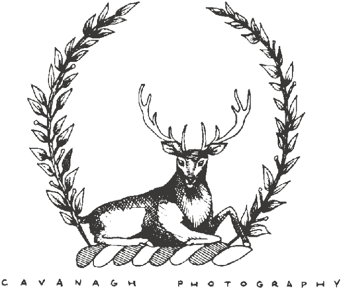 Photographer (768x593), Png Download