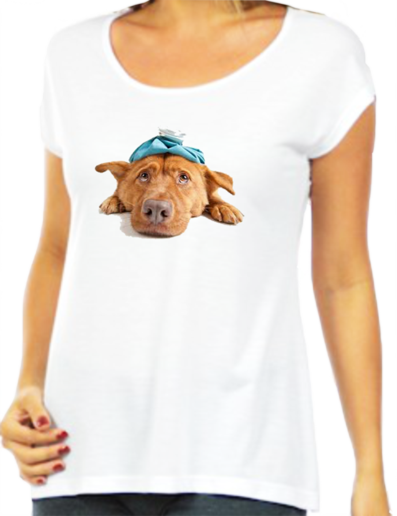 Cachorro Marron Pro Site - If You See This First (788x1024), Png Download