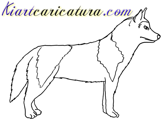 Deixe Seu Comentário E Não Esqueça De Curtir Nossa - Dog Yawns (600x448), Png Download