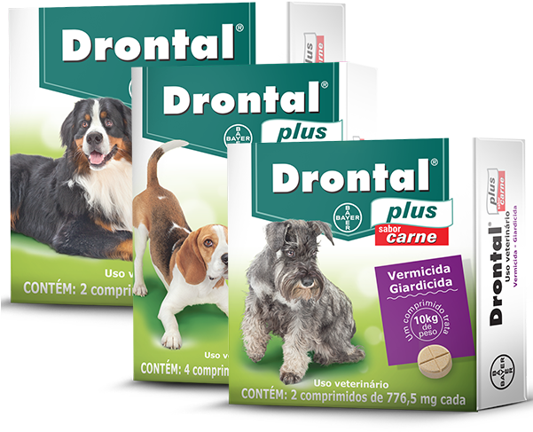 Drontal® Plus Carne - Drontal Plus Xl Dog Worming S 2 S (600x551), Png Download