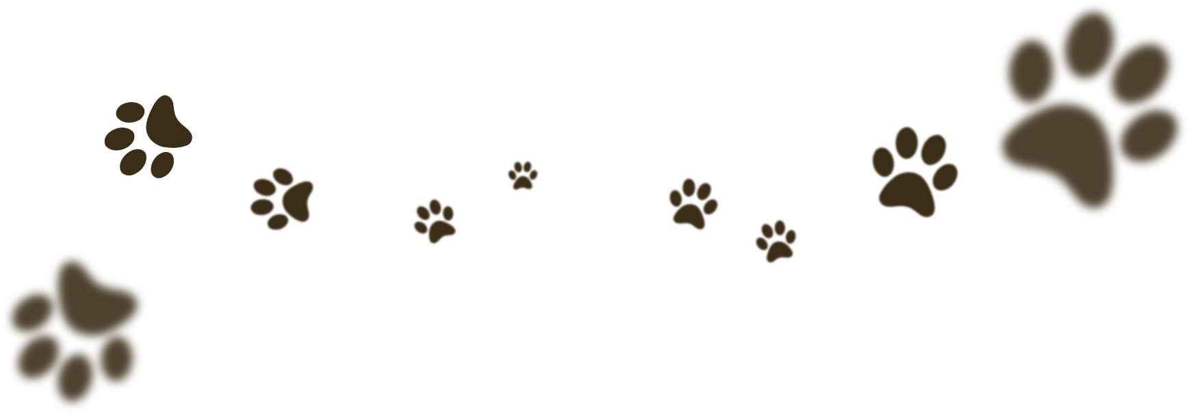 Jpeg (1812x766), Png Download