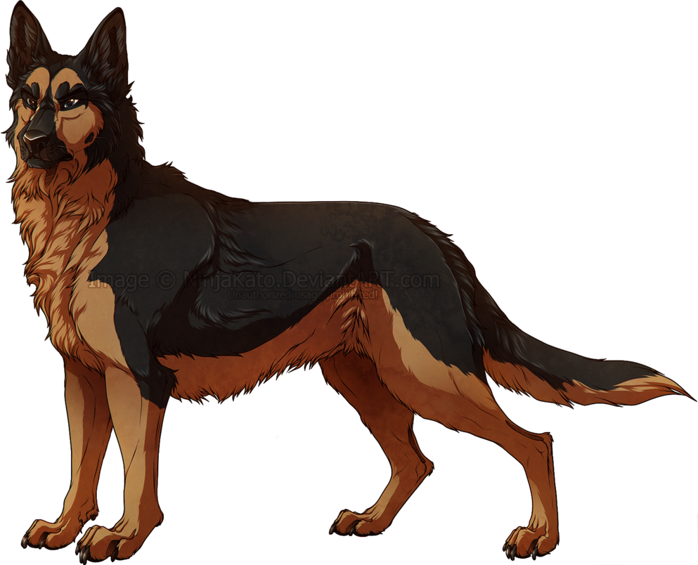 Nerororro - Ginga Dog (993x804), Png Download