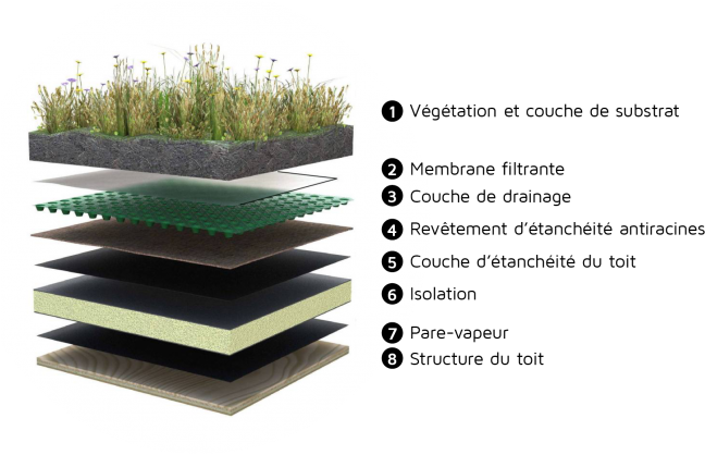 The Various Parts Of A Green Roof - Heat Absorbing Roof Materials (669x418), Png Download