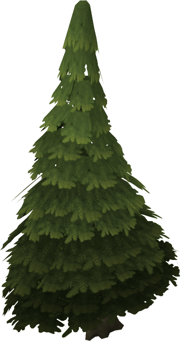 Evergreen Tree - .wiki (368x694), Png Download