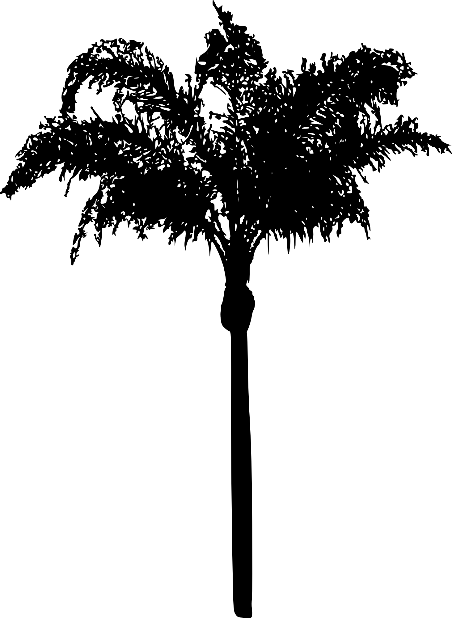 15 Palm Tree Silhouettes Png Transparent Background - Portable Network Graphics (1463x2000), Png Download