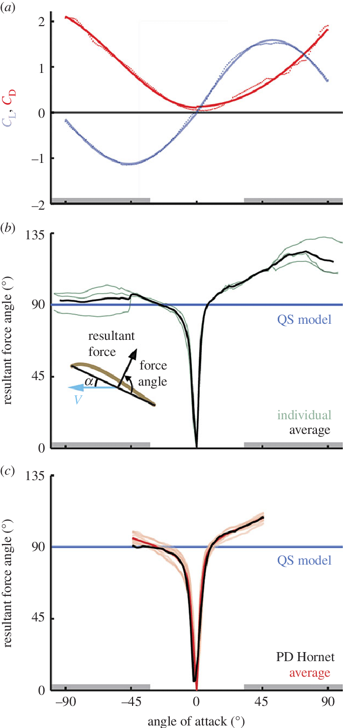 Quasi Steady Lift And Drag Model Approximation Of Hummingbird - Lift (683x1448), Png Download