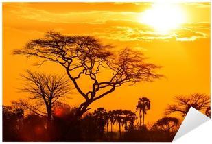 Orange Glow Of African Sunset Extra Large Wall Art (400x400), Png Download