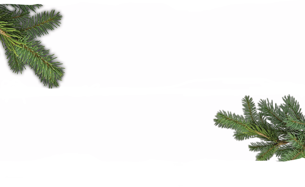 Big Game Background Pine Branches - Shortleaf Black Spruce (1024x629), Png Download