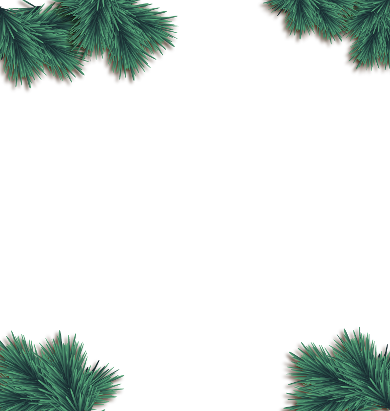 Christmas Euclidean Vector Pine - Euclidean Vector (800x842), Png Download