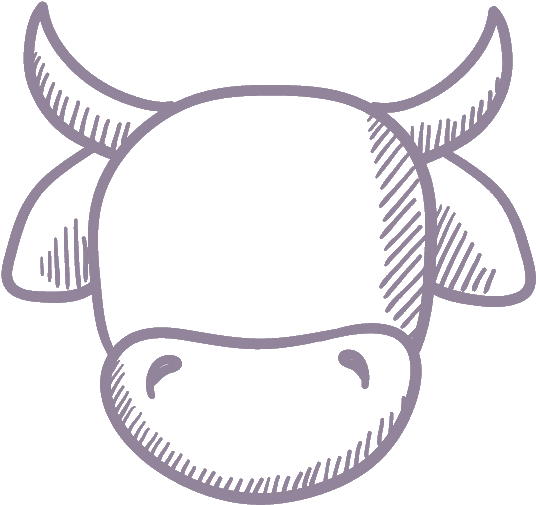 Cow Face Icon - Vector Cow Head Icon (581x582), Png Download