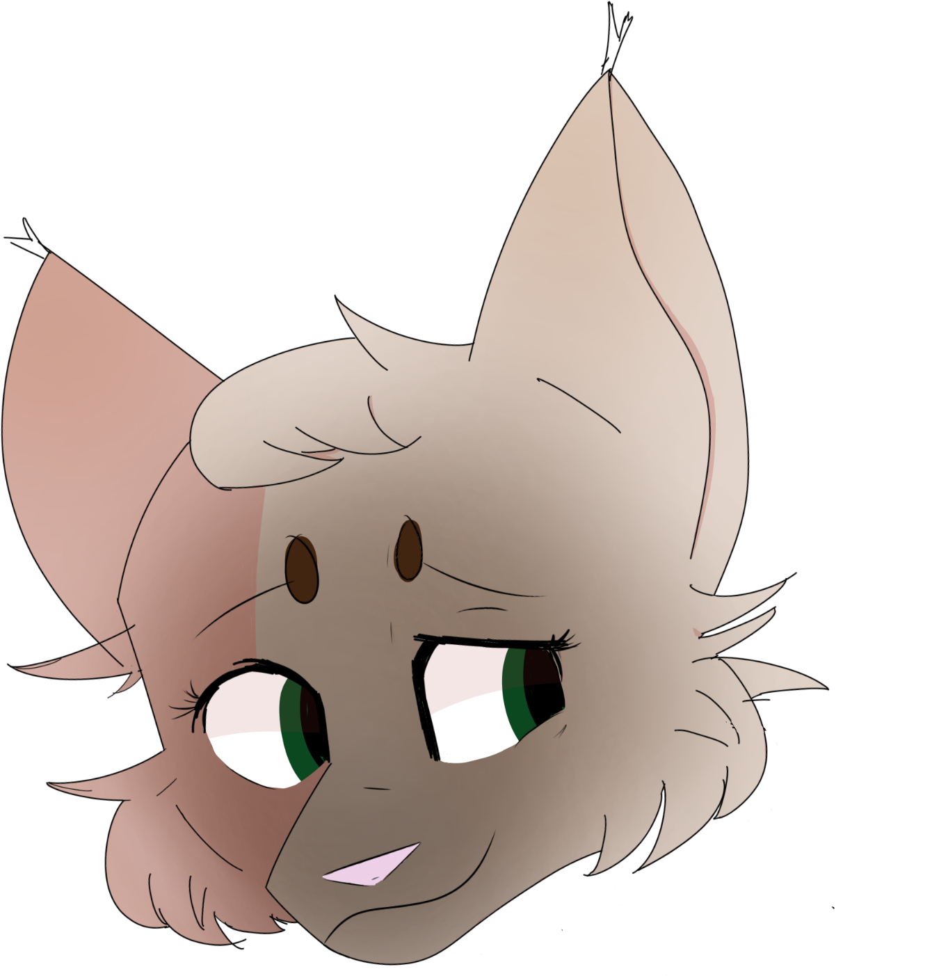 Samea W Shading - Cartoon (1629x1619), Png Download