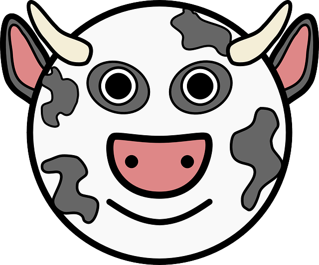 Head, Simple, Face, Circle, Barn, Farm, Cow, Horns - Cow Head Cartoon (640x533), Png Download