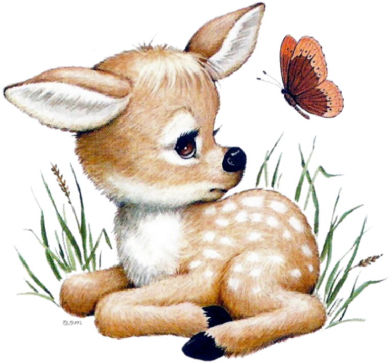 Baby Deer Tattoo - Illustration Ruth Morehead Forest Friends (800x775), Png Download