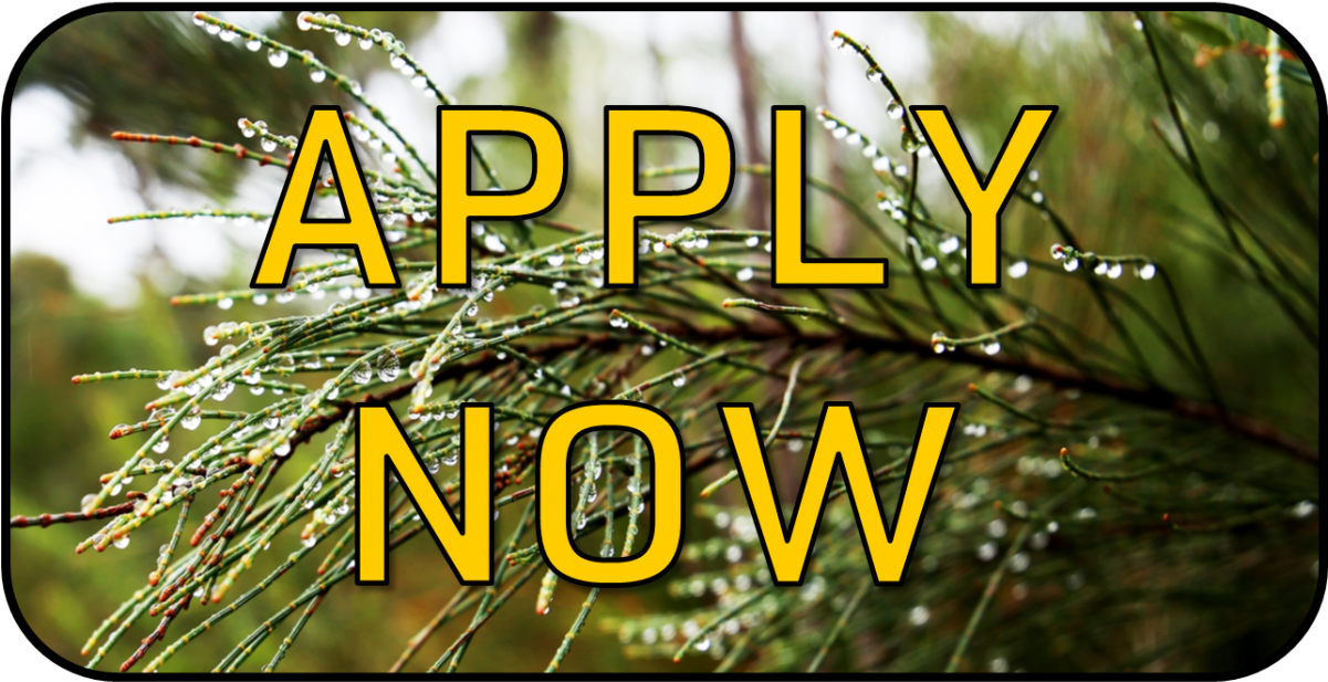 About The Program - Pc Game (1200x755), Png Download